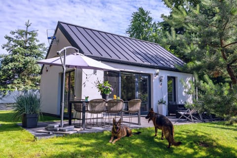 Property building, Patio, Spring, Day, Garden, Pets, Garden view