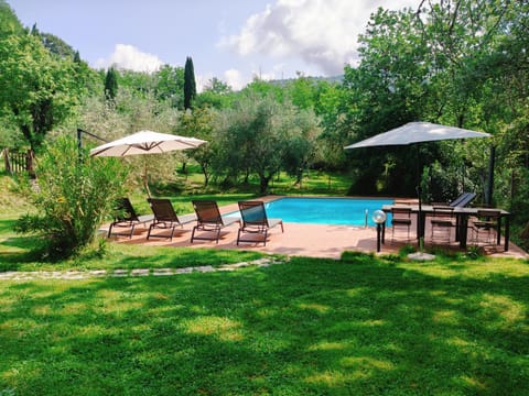 Garden, Pool view, Swimming pool, sunbed