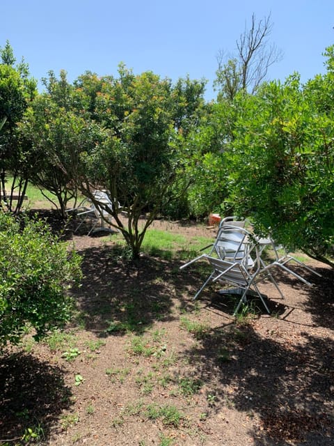 Agriturismo Da Patrizia Farm Stay in Sardinia