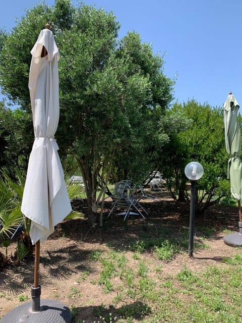 Agriturismo Da Patrizia Farm Stay in Sardinia