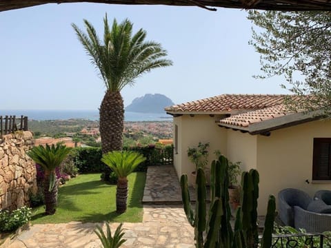 Garden, Sea view