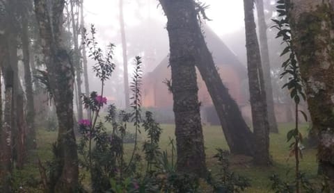 Garden, Garden view