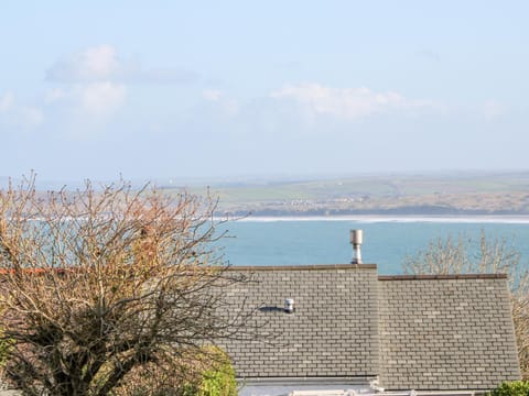 Driftwood Haven House in England