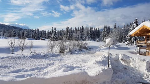 Chalet an der Lofer Apartment in Salzburgerland