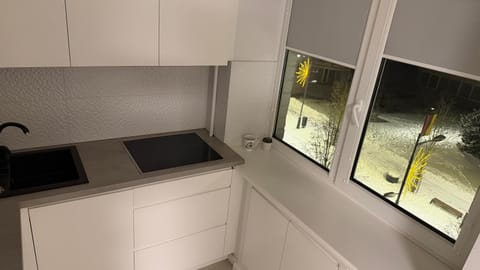 Central Boulevard Apartment Apartment in Lithuania