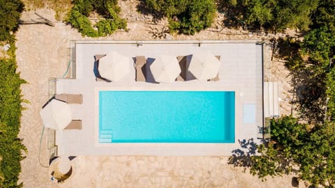 Patio, Other, Swimming pool