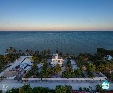 Property building, Natural landscape, Bird's eye view, Location