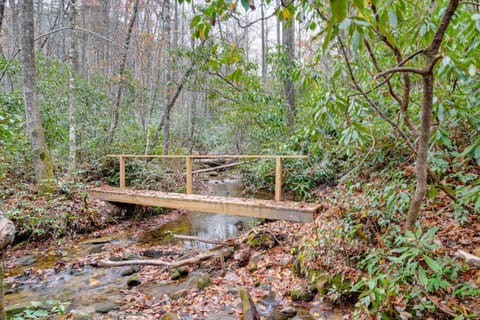 Creekside Family Retreat by Waterfalls and Hiking! House in Tennessee