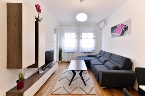 Neo Apartment Apartment in Novi Sad