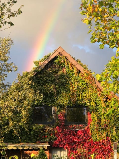 Property building, Autumn