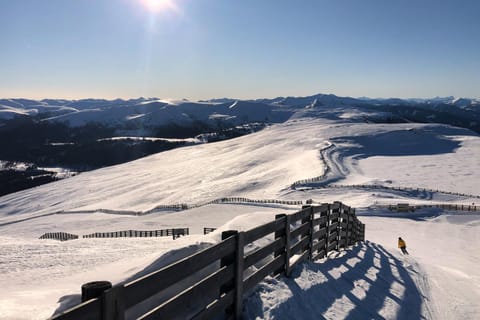 Natural landscape, Winter, Ski School, Skiing, Mountain view