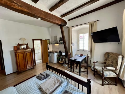 Communal lounge/ TV room, Bed, TV and multimedia, Living room, Photo of the whole room, Seating area, Bedroom