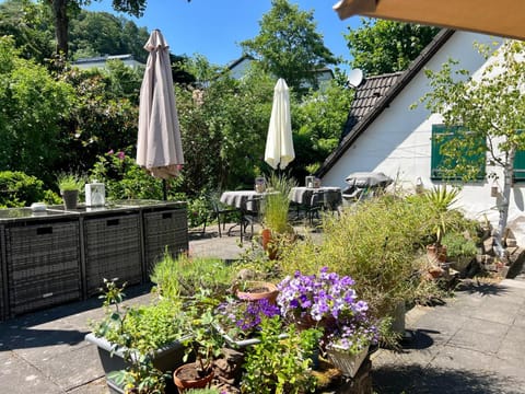 Patio, Spring, Garden, Garden view