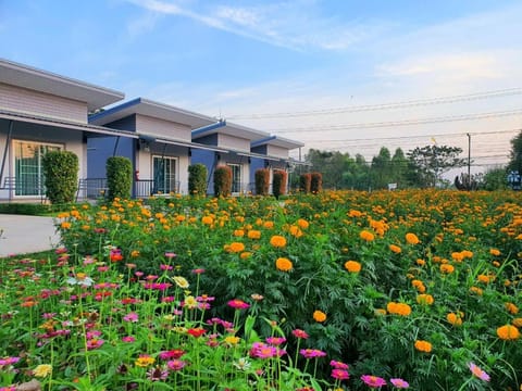 Property building, Garden