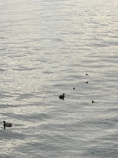 A Casa di Chiara 2 Apartment in Stresa