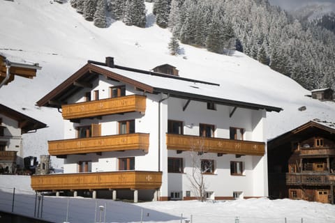 Property building, Facade/entrance, Winter