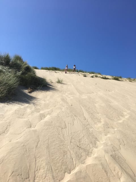 Natural landscape, Beach