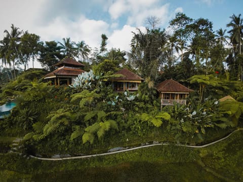 Property building, Natural landscape, Garden, Garden view