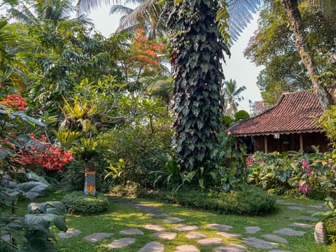 Property building, Garden, Garden view