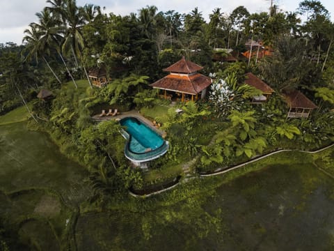 Property building, Natural landscape, Bird's eye view, Garden, Garden view, Pool view, Swimming pool