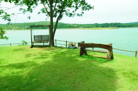 Lake view