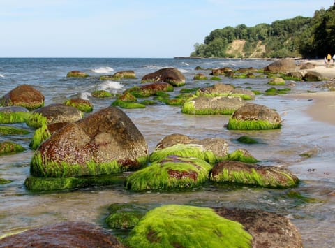 Natural landscape, Beach