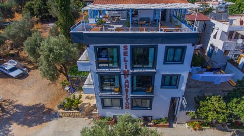 Property view