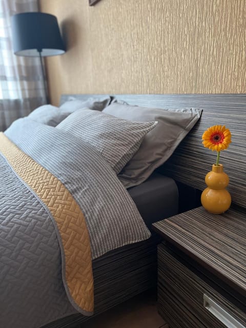 Cozy one bedroom apartment in the city center Apartment in Lithuania