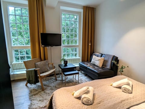 Bed, TV and multimedia, Seating area