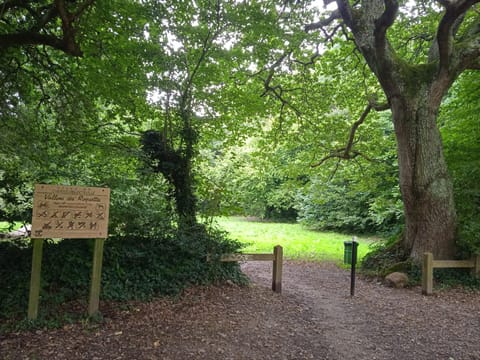 Natural landscape, Text overlay