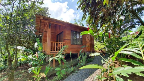 Property building, Facade/entrance, Garden