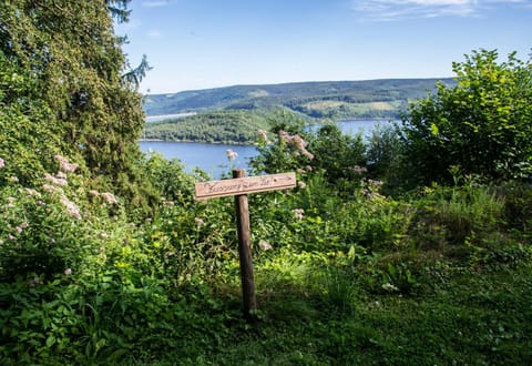 Day, Natural landscape, Lake view