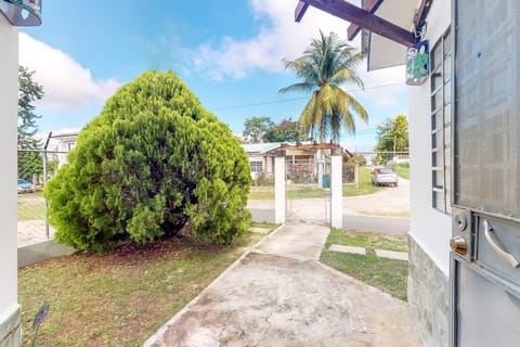 La Rana House in San Ignacio