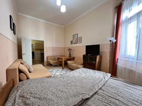 Old Town Apartment Apartment in Szeged