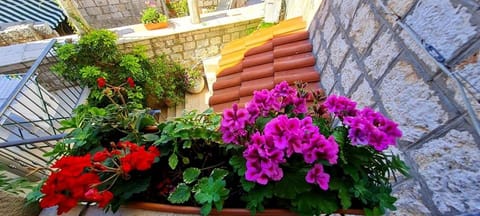 Bed & Breakfast Dionis Vis Bed and Breakfast in Vis