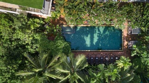 Bird's eye view, Garden, Garden view, Pool view, Area and facilities, Area and facilities, Swimming pool, sunbed, sunbed
