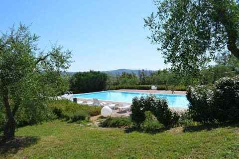 Garden, Swimming pool