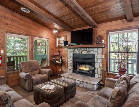 TV and multimedia, Living room, Seating area, fireplace, furniture