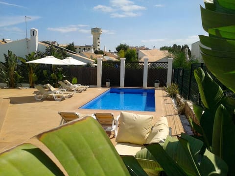 Summer, Other, Swimming pool, sunbed