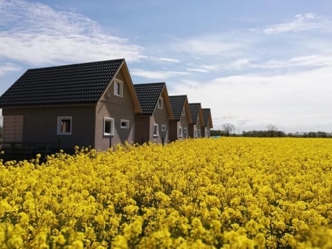 Property building, Spring, Day, Natural landscape