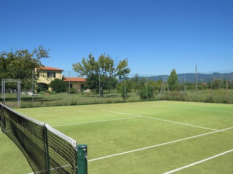 Garden, Tennis court, Tennis court