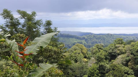 Natural landscape, Mountain view