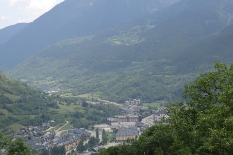 Area and facilities