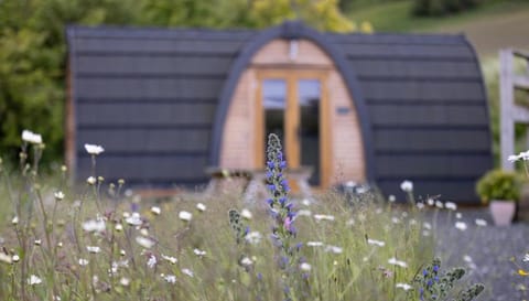 Clova pod, Kilry eco pods Campground/ 
RV Resort in Scotland
