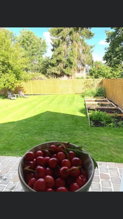 Le petit nid de chessy Apartment in Chessy