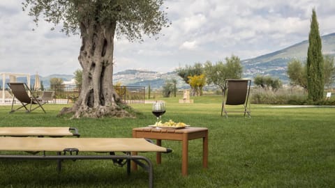 Spring, Day, Natural landscape, Garden, Garden view, Mountain view, sunbed