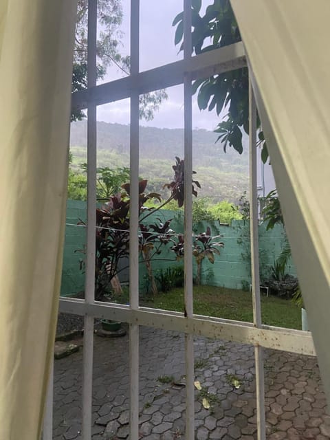 Garden view