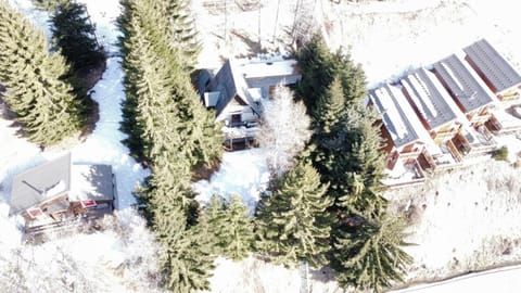 Chalet La Foux d Allos centre Station Chalet in Allos