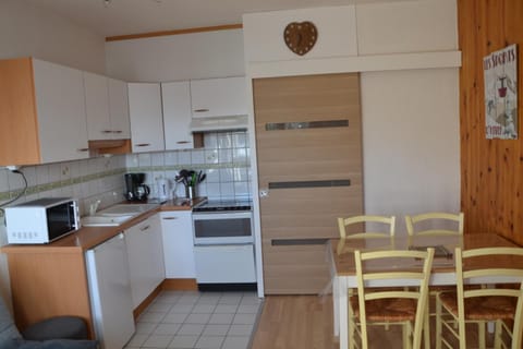 STUDIO PIEDS PISTES Apartment in Besse-et-Saint-Anastaise