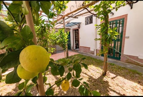 Facade/entrance, Garden